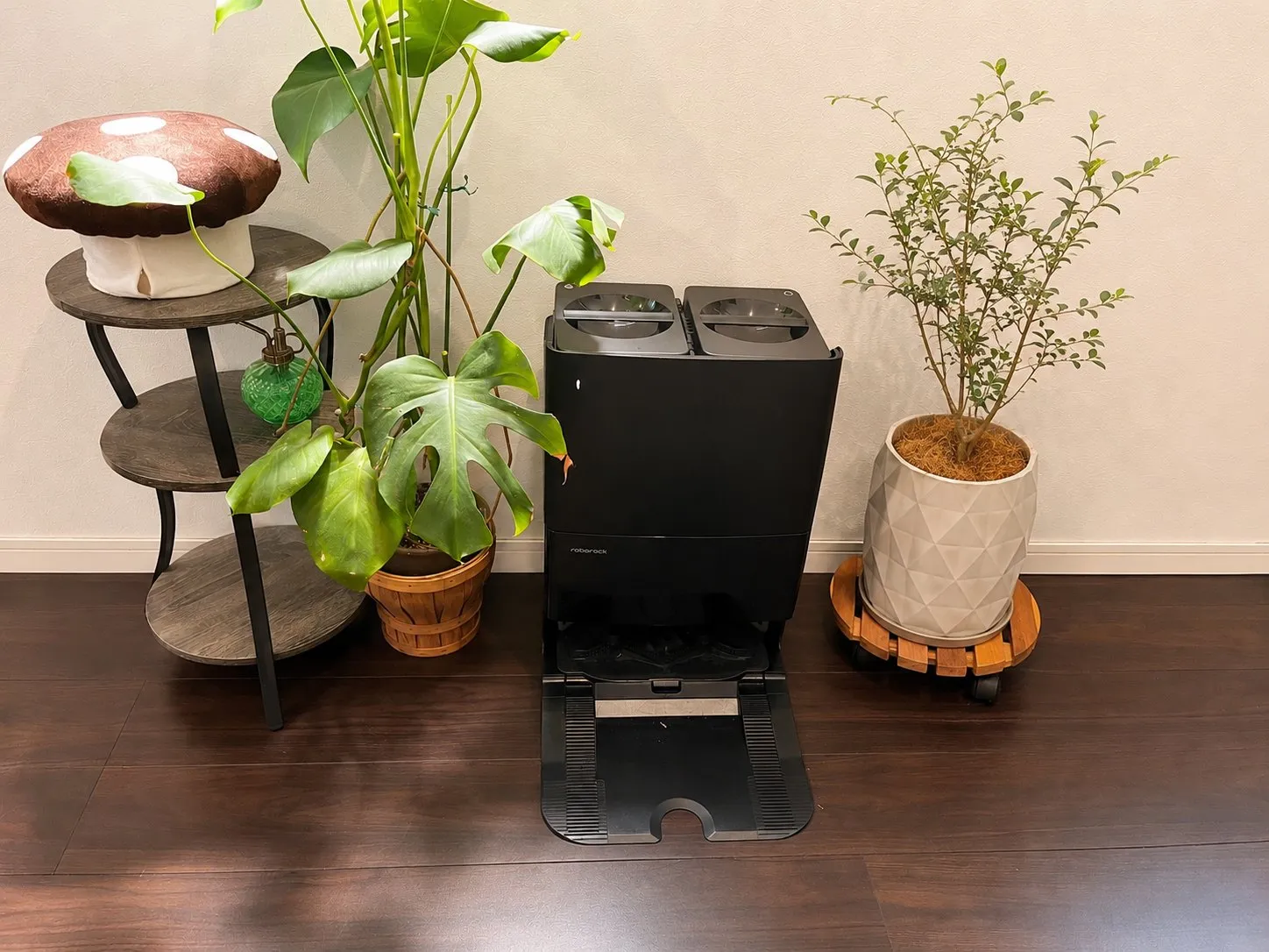 観葉植物の横に置かれたroborockの充電ステーション
